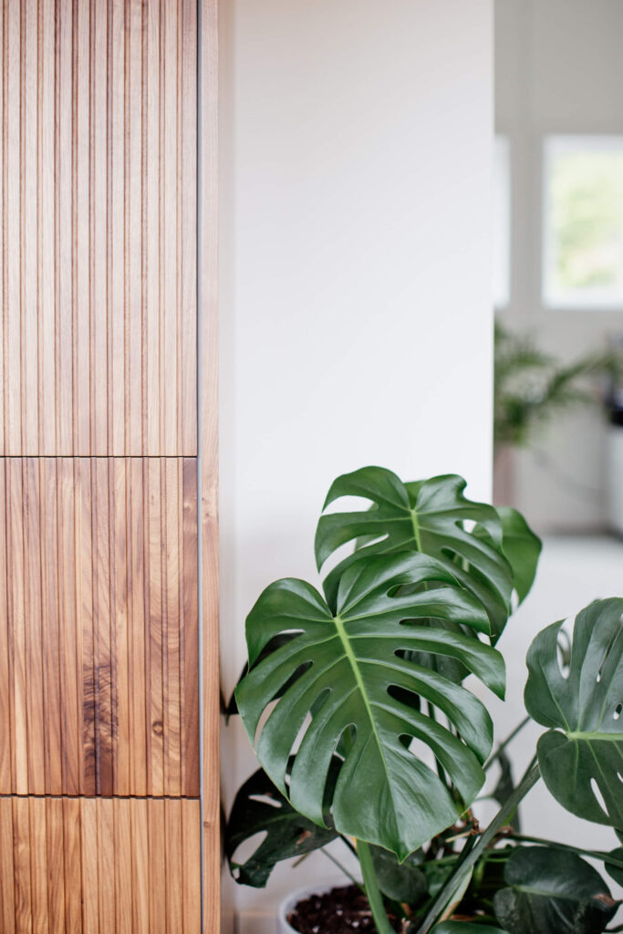 A plant sits beside a cabinet in a shop in  Victoria, BC.