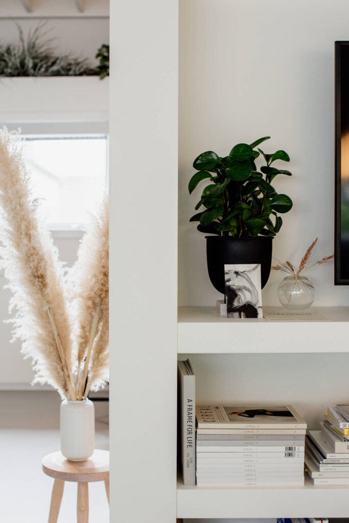 A bookshelf and decoration in an office in Victoria, BC.