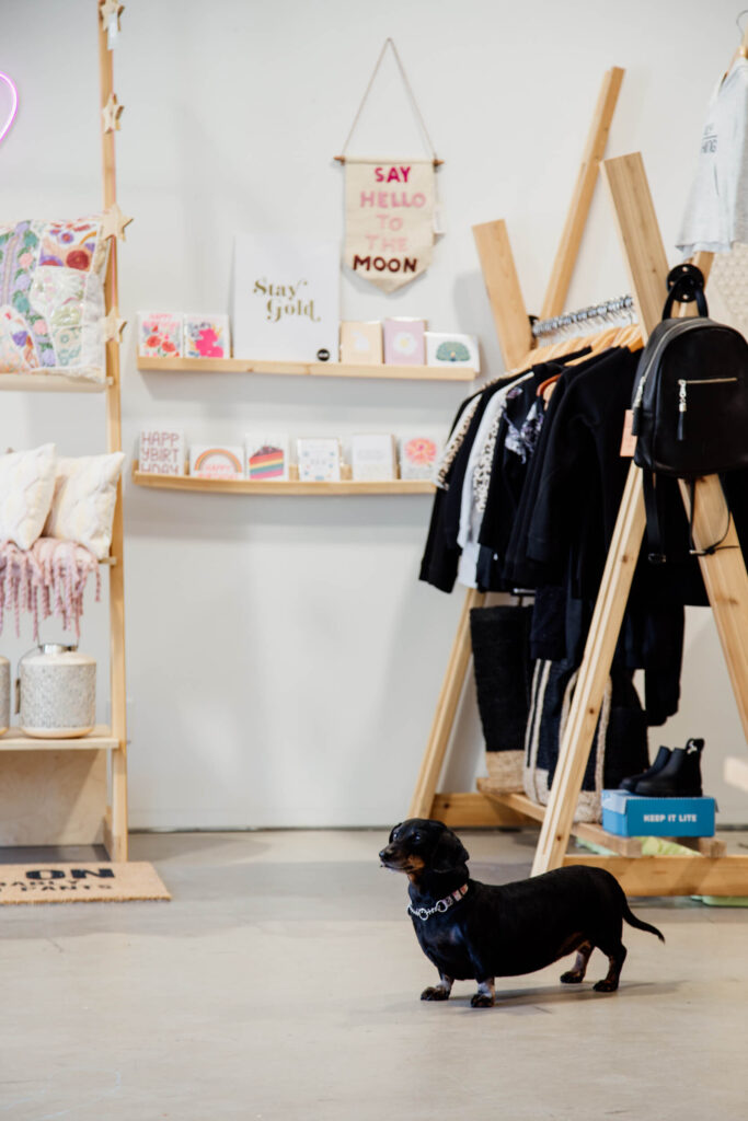 A dachshund dog stands in a shop in Victoria, BC.